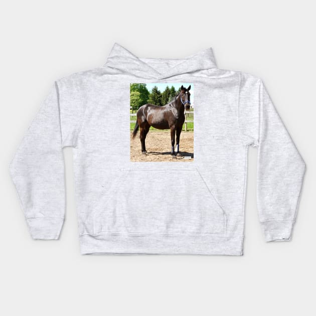 Russ Kids Hoodie by SunshineHorses